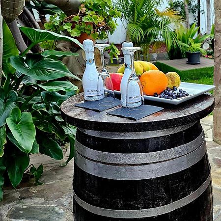 Suite 85, Villa Boutique Privada Con Piscina อิคอดเดลอสวินอส ภายนอก รูปภาพ